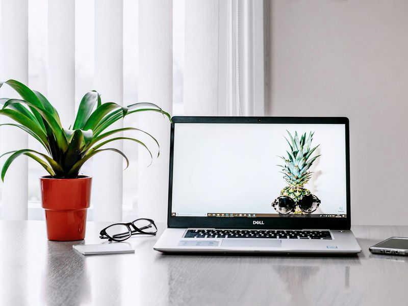 Bright workspace with plants and a laptop.