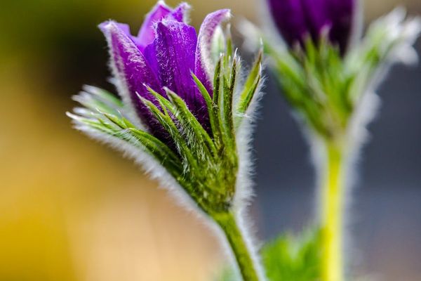 Close up of workspace with natural lighting.